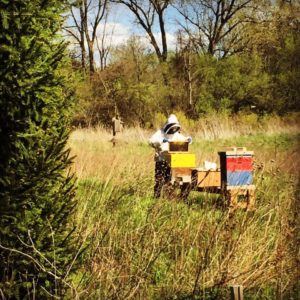 Honey by Wellskept Farms
